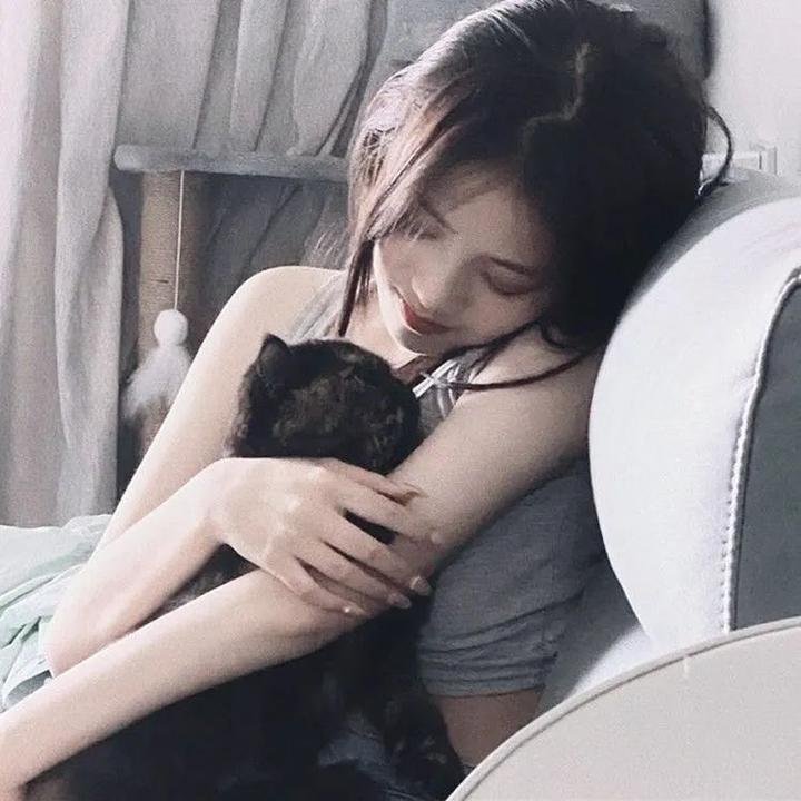 寻秦记粤语