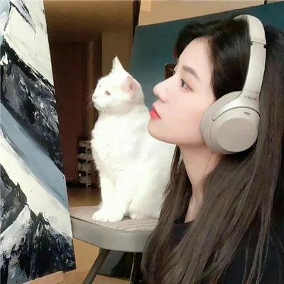 顽皮豹之星